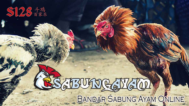 Bandar Sabung Ayam Online